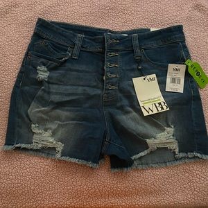 YMI wannabettabutt shorts